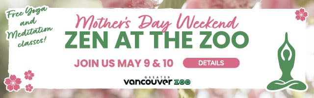 Mother's Day at the Zoo Banner Ad