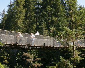 Capilano Bridge in Summer