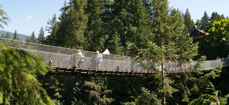 Capilano Bridge in Summer