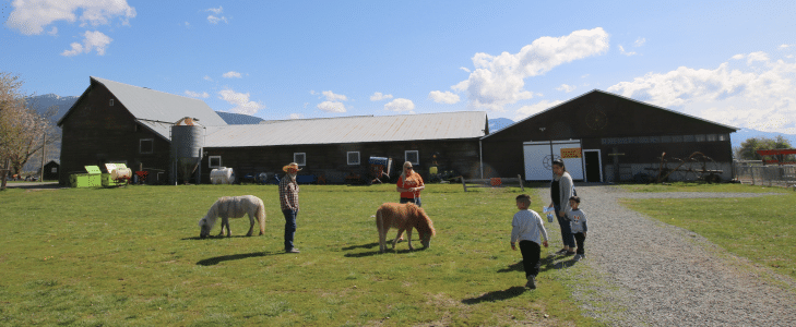 Barn and Farm Animals at Fantasy Farms
