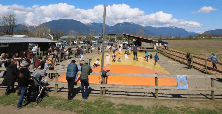 Jumping Pillow at Greendale Acres