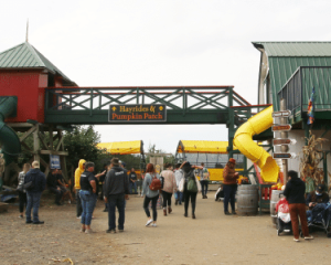 Taves Farm Play Area and Animal Barn
