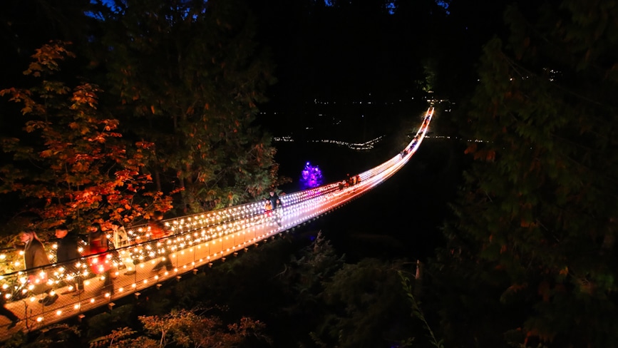 Capilano Bridge at Night