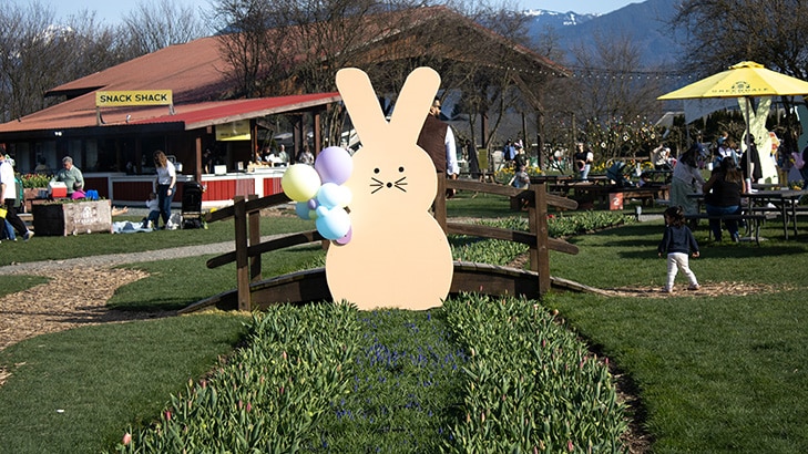 Greendale Acres Farm at Easter