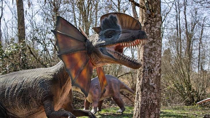 Vancouver Zoo Dinosaur
