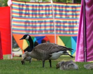 Vancouver Children's Festival