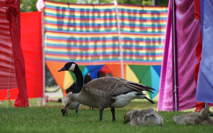 Vancouver Children's Festival