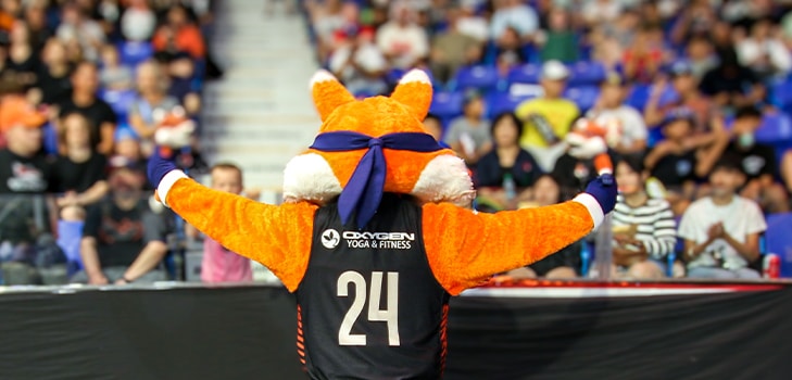Bandits Mascot