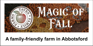 Magic of Fall at Taves